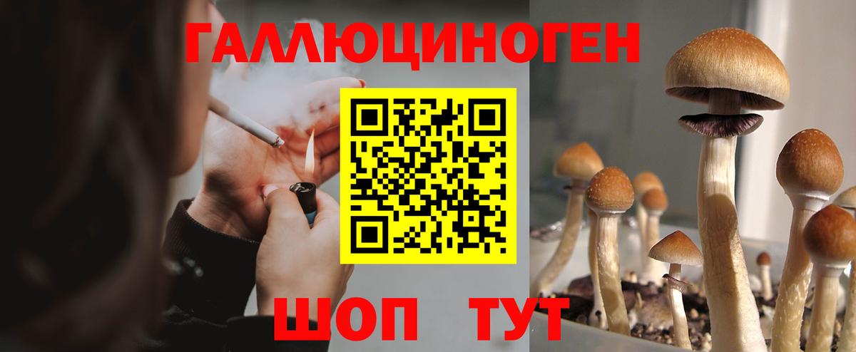 Кузнецк  Галлюциногенные грибы Psilocybe  Вход с VPN 